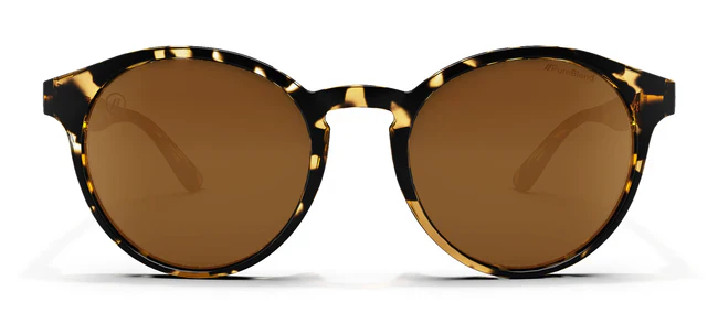 Blenders Coastal X2 Sunglasses - Image 6