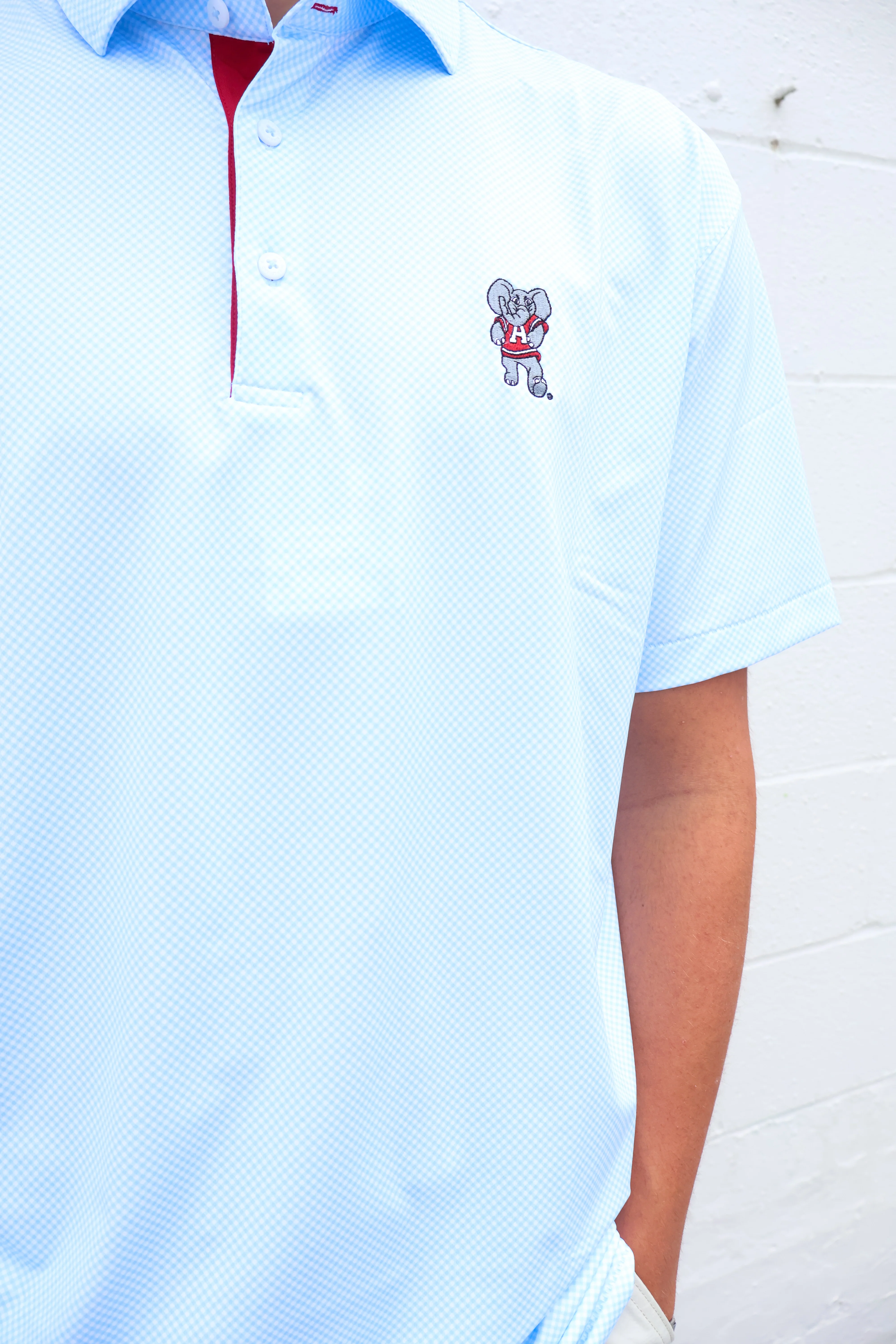 Taylor And Mick Standing Elephant Polo - Image 2