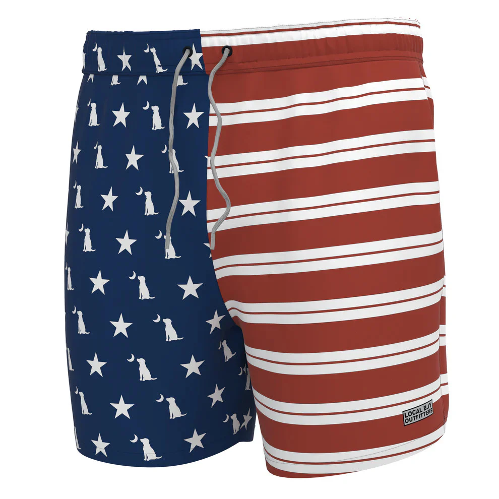 Boys' Local Boy Bayview Swim Trunk - Image 4