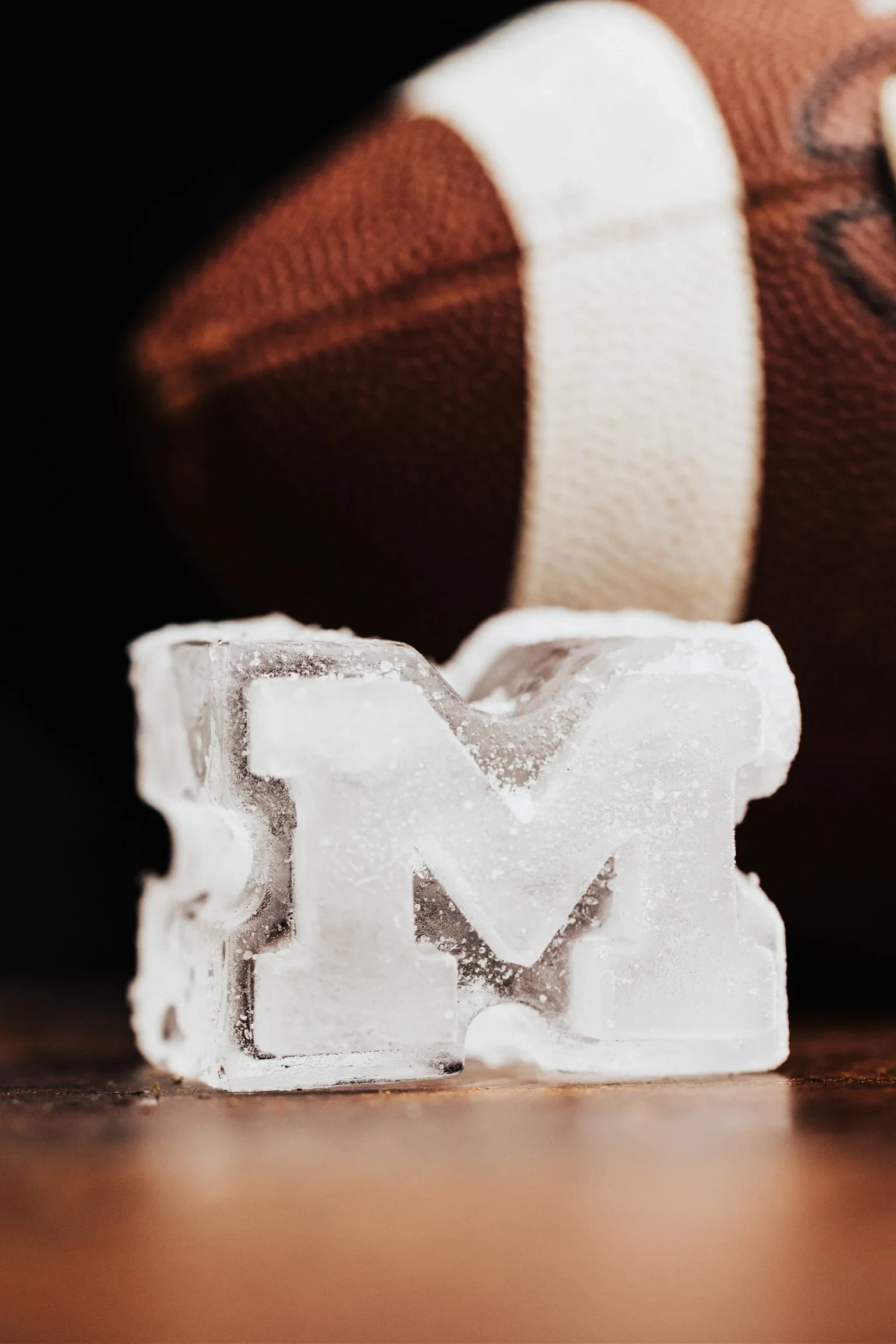 Team Ice Large Ice Mold - Image 8